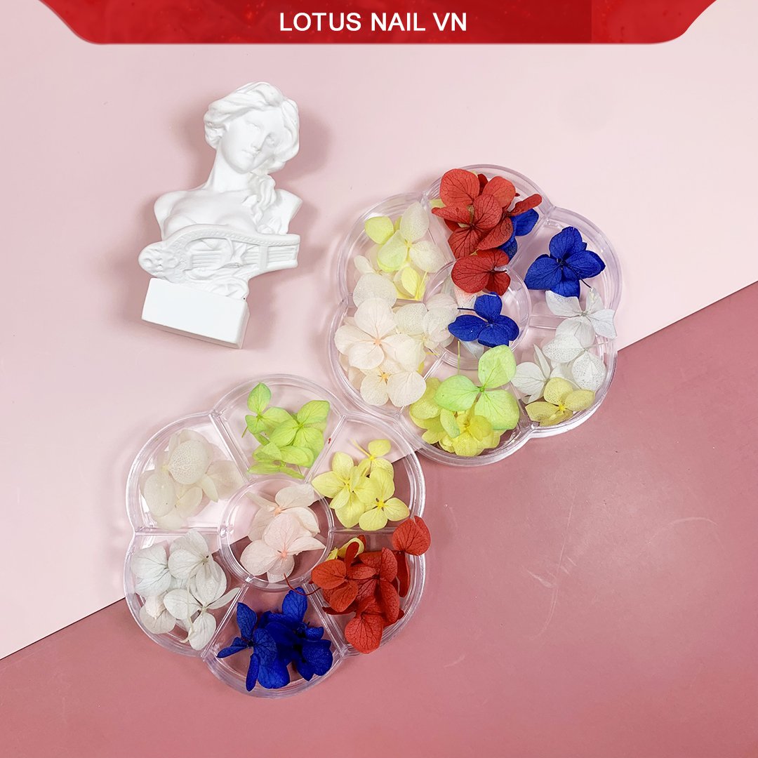 Hoa khô nail, hoa khô lụa tú cầu trang trí móng khay 7 màu