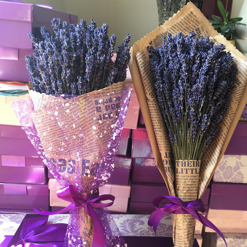 Hoa khô Lavender Pháp (hoa oải hương)