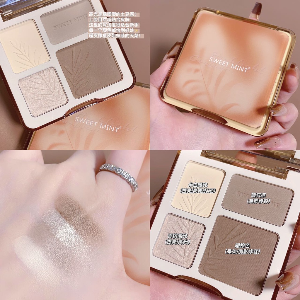 Bảng Phấn Bắt Sáng / Tạo Khối 3D Chất Lượng Cao DANA
