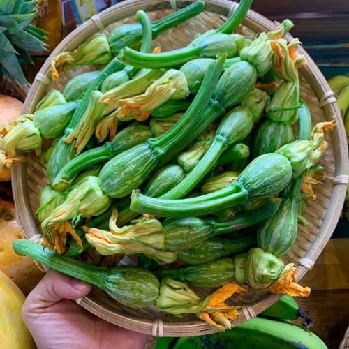 "Gói 10Gr Hạt " Hạt giống bí siêu nụ lai F1 - Bí đậu ăn non