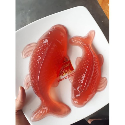 Khuôn làm xôi,thạch rau câu hình cá chép