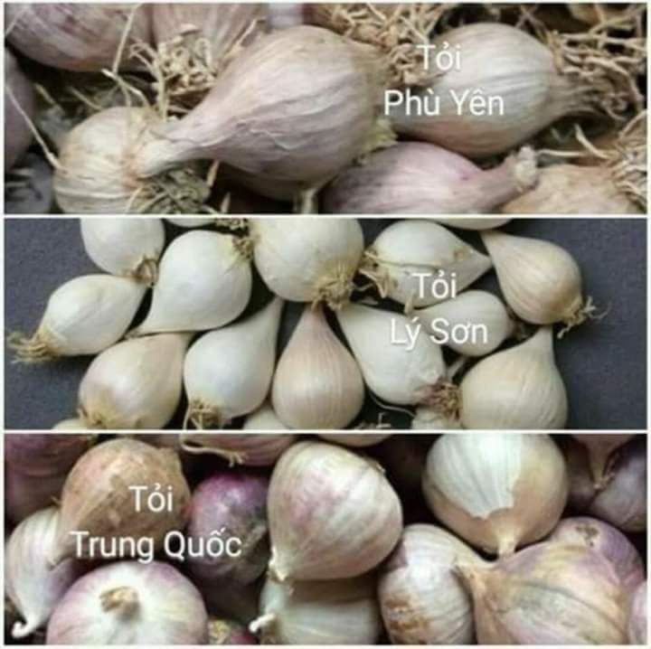 Tỏi Cô Đơn (Tỏi 1 Nhánh 1kg)