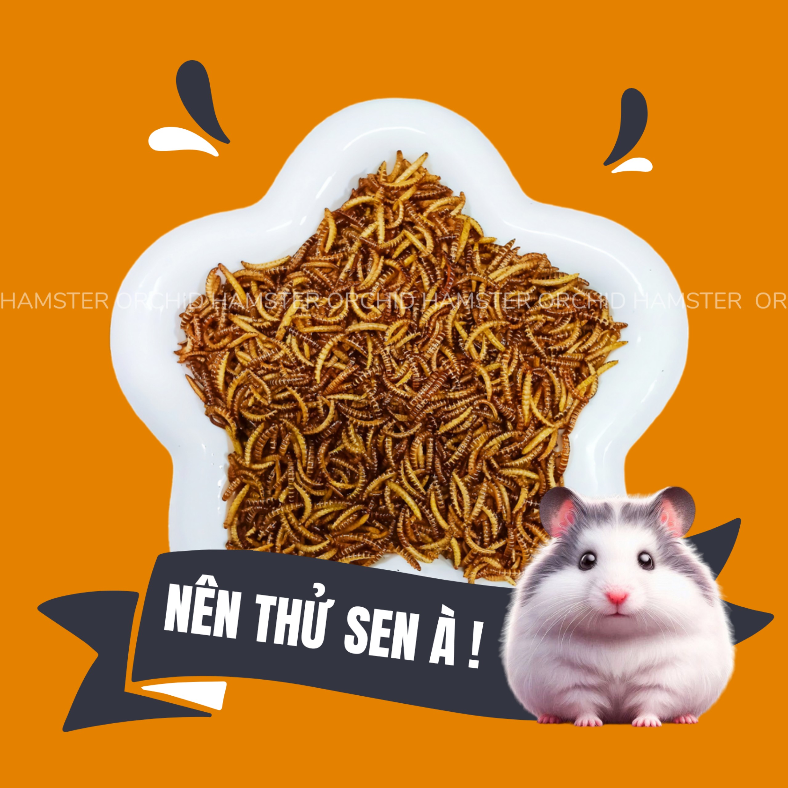 Sâu Sấy Hamster/Sóc/Nhím Giúp Bổ Sung Canxi - Protein - Đạm Mỗi Ngày