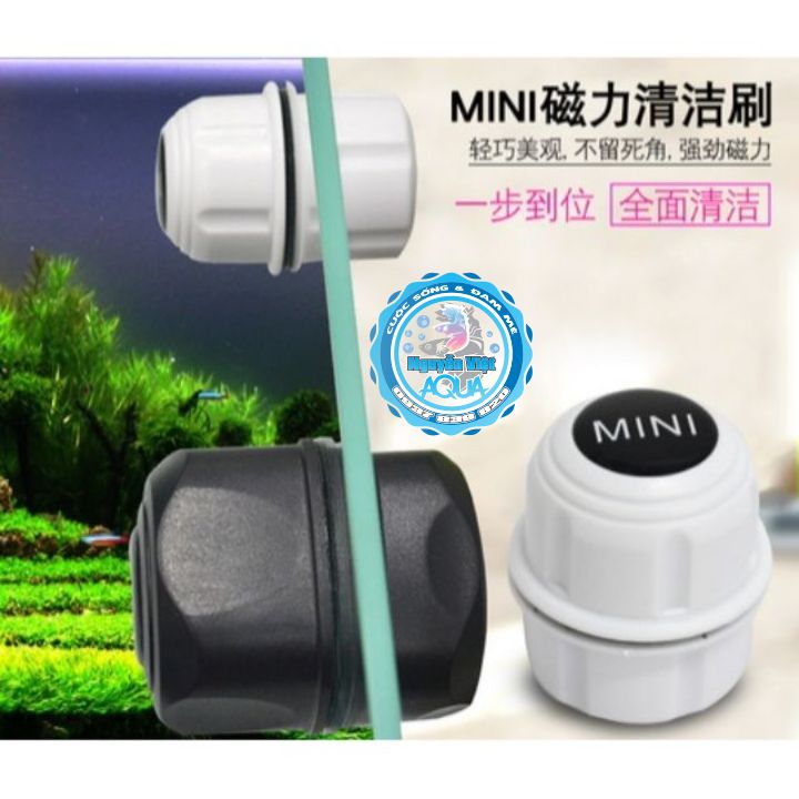 Cọ bể nam châm mini