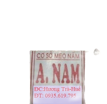 Làm ấm giống nấm rơm