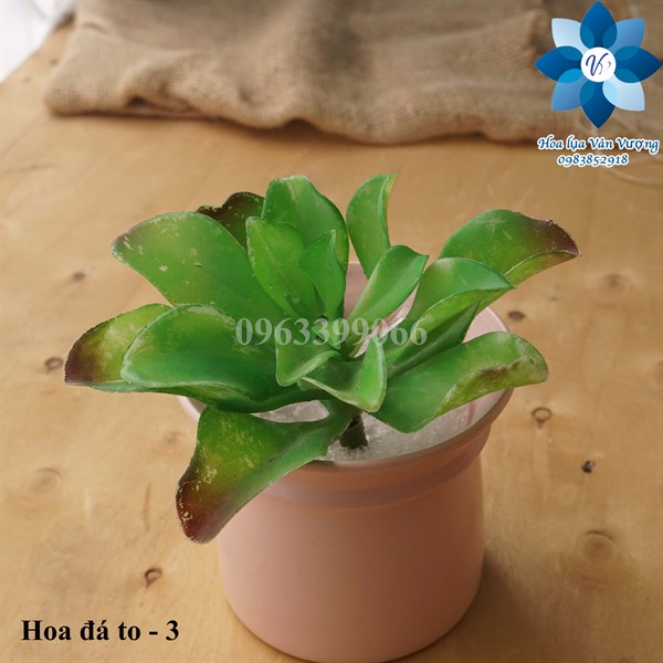 Hoa Đá Giả Hoa Sen Đá Cao Su, Nhựa