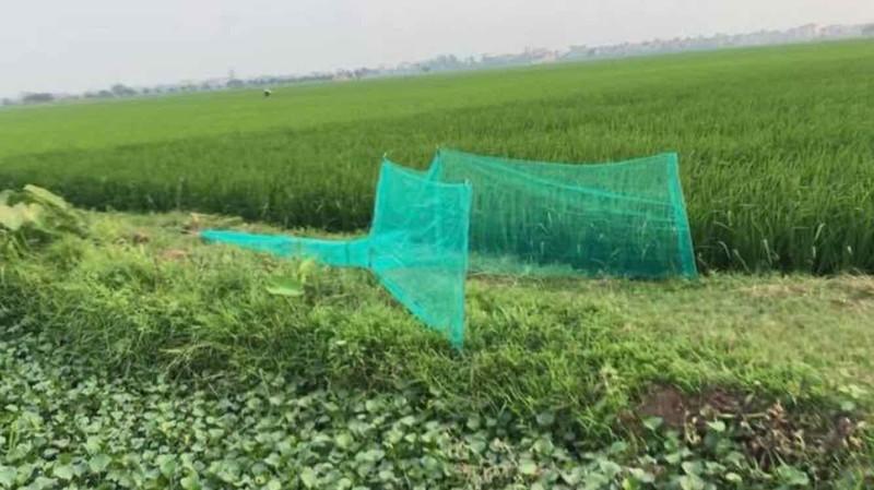 Dớn bắt cá, đăng bắt tôm, cua, lươn, cá - đặt ở cống bắt cá hiệu quả ( Ngu Long )