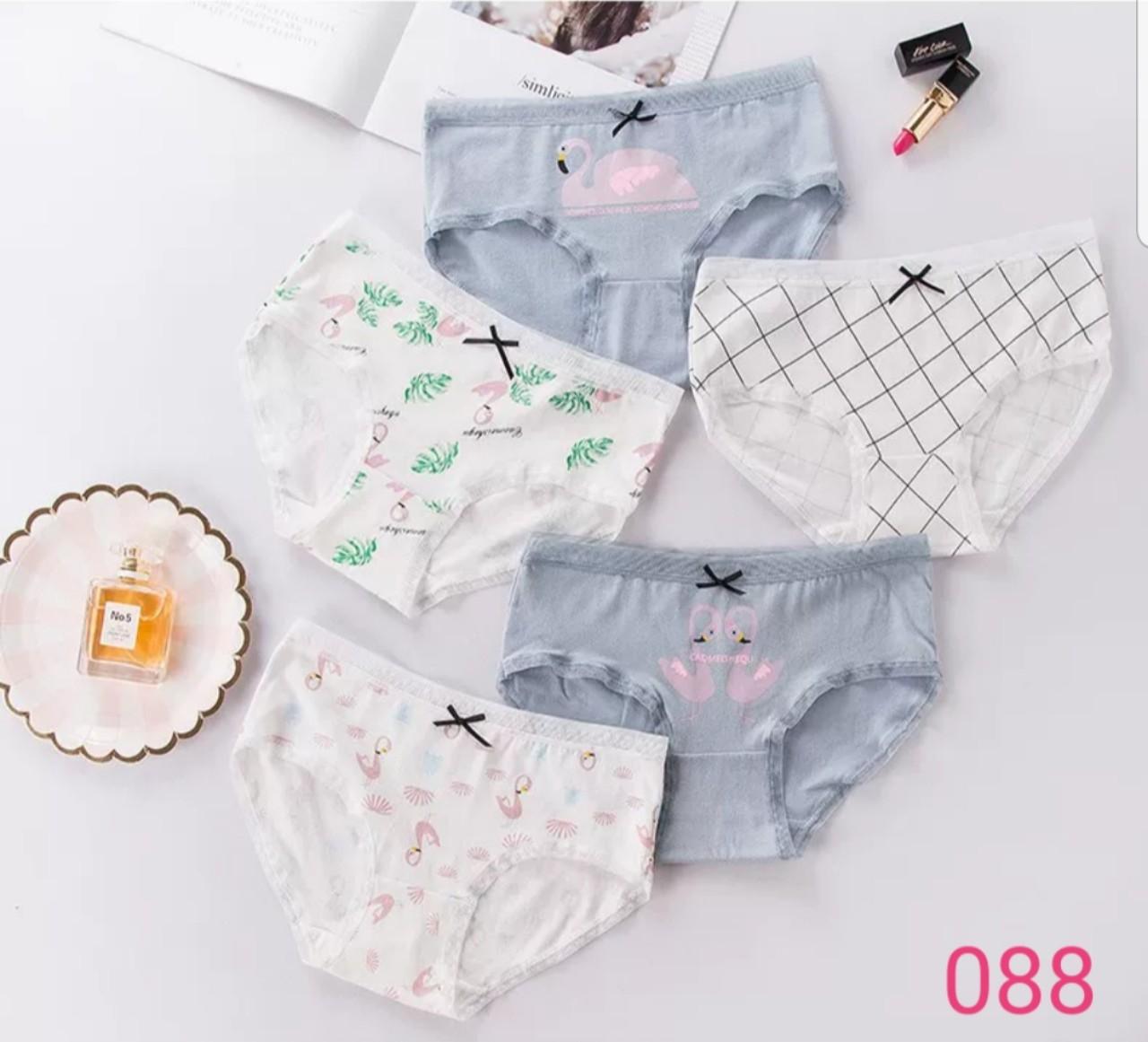 Combo 5 quần lót nữ cotton họa tiêt dễ thương 088