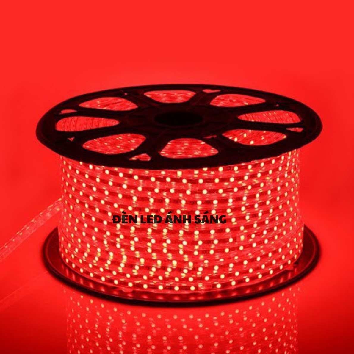 Dây LED đôi 2835 - 2 hàng bóng siêu sáng 5m - 10m