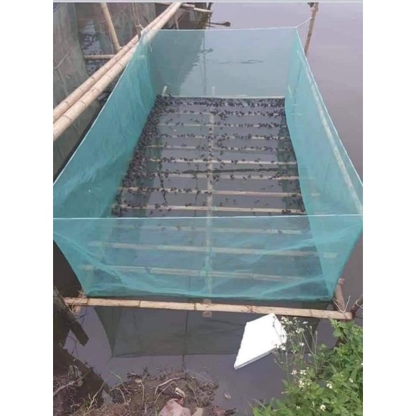 Tráng Nuôi Ốc Thủy Sản cá,lươn,trạch,ốc ,baba