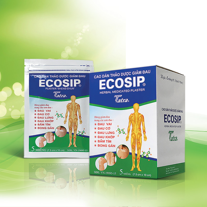 Cao dán Ecosi Hộp 20 miếng x 5 gói