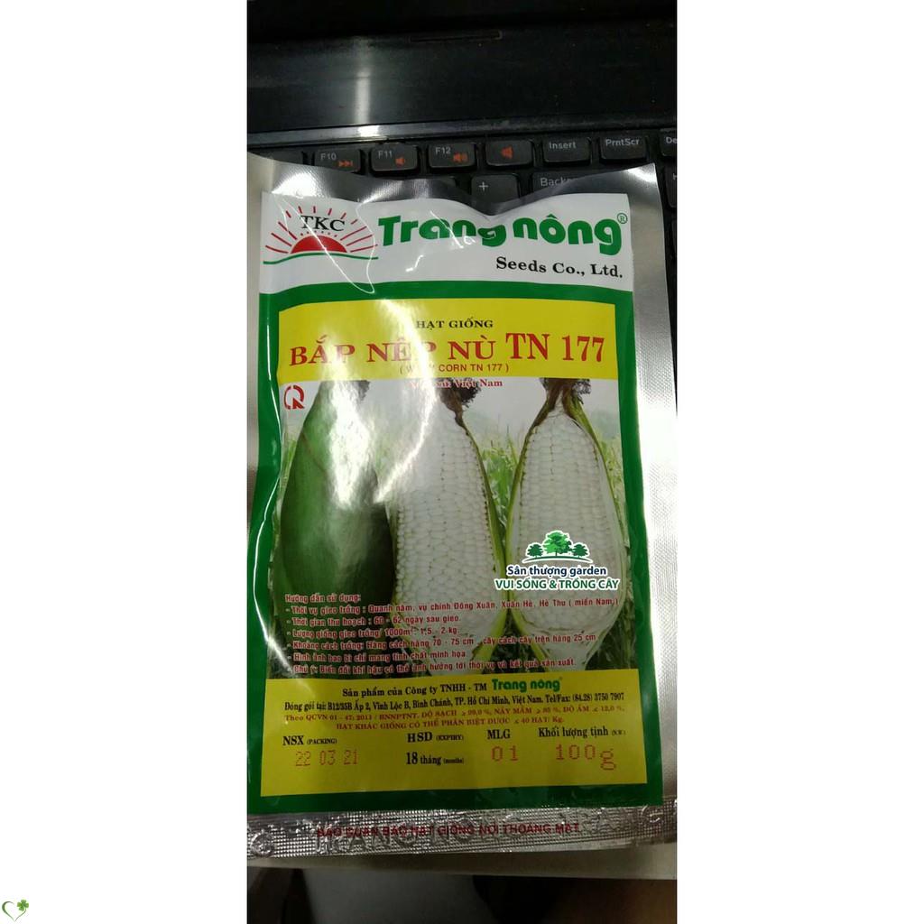 Hạt giống bắp nù - gói 100 gram