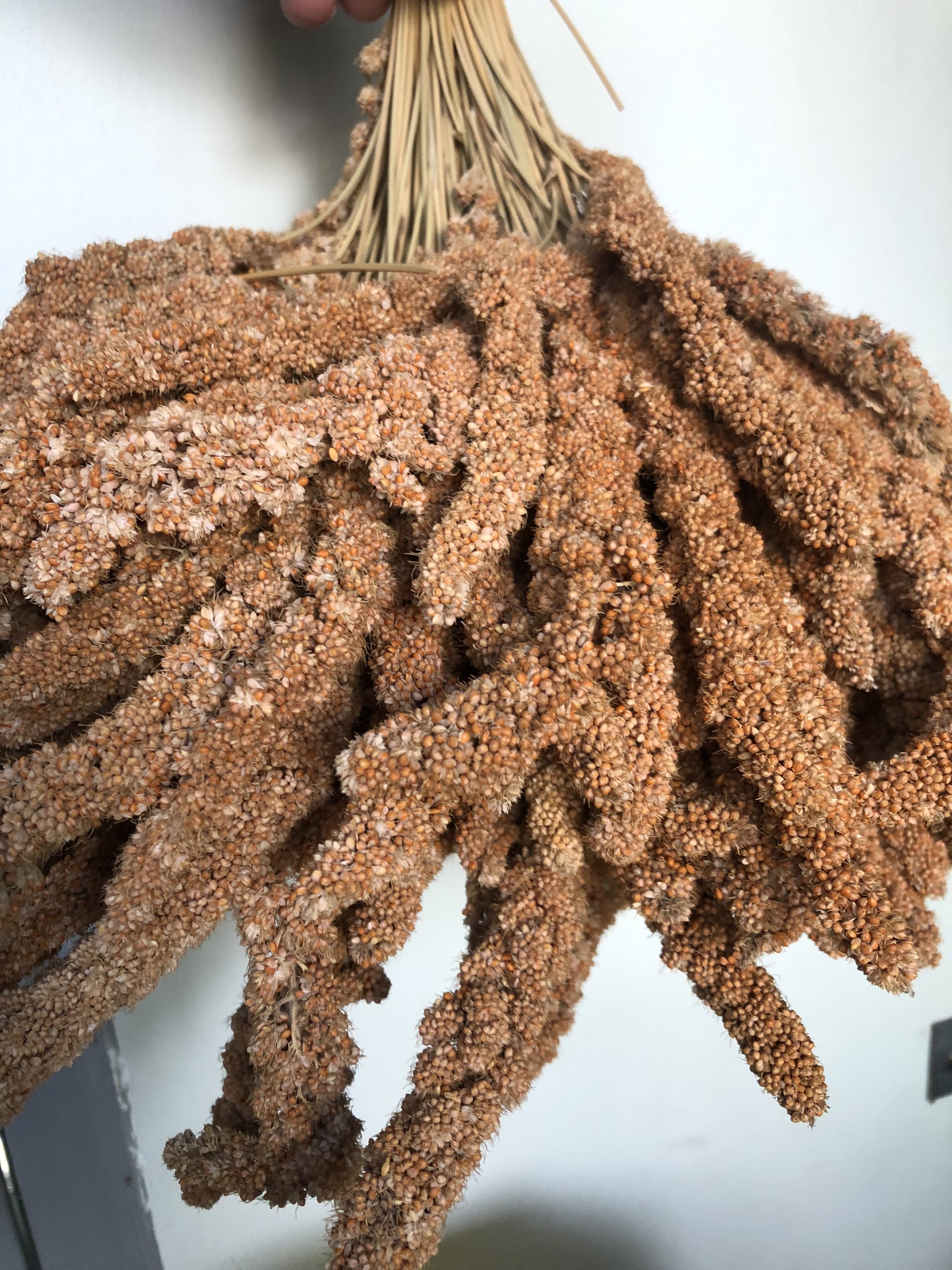 Kê chùm gói 500g/1kg