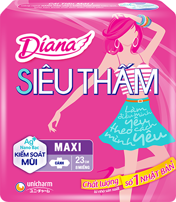 COMBO 6 GÓI DIANA SIÊU THẤM DÀY CÁNH 23CM