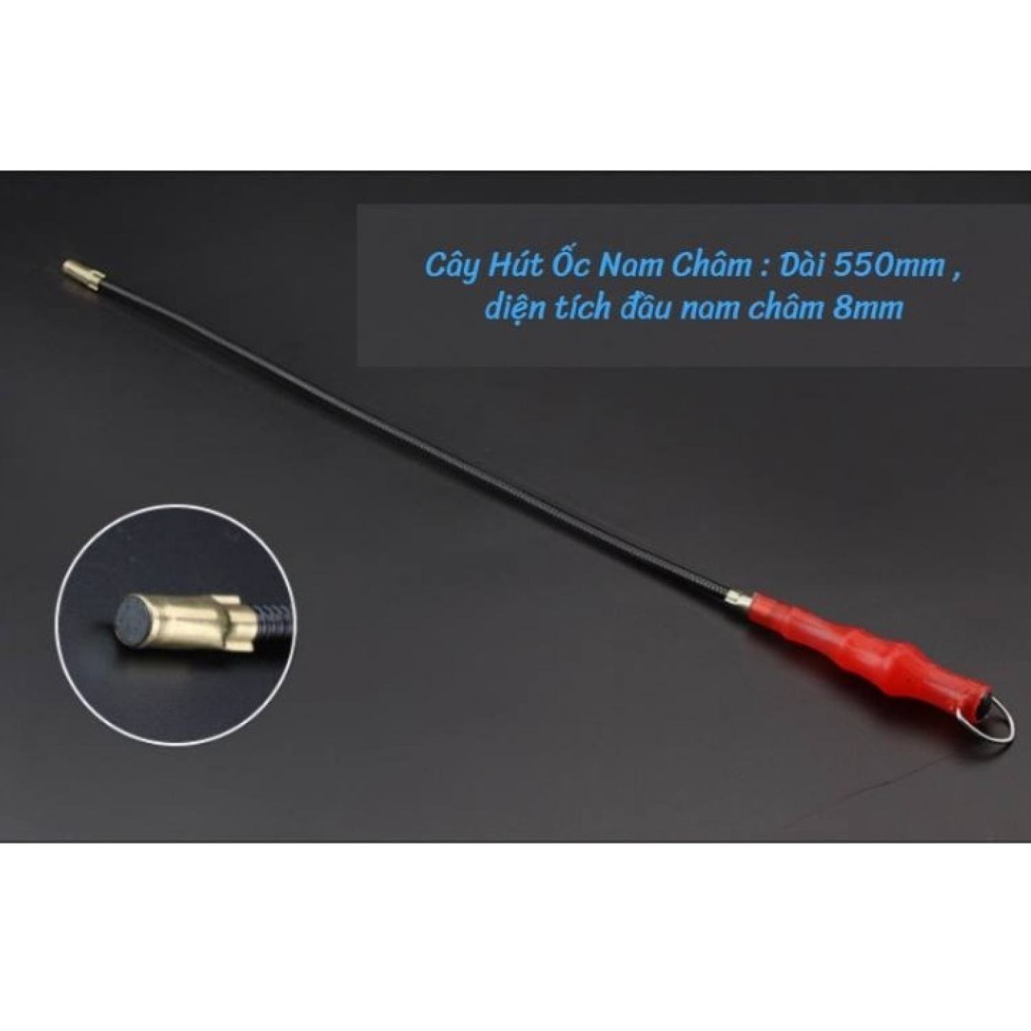 Cây nhặt ốc rơi, roi nhặt ốc rơi, hút ốc cán đỏ