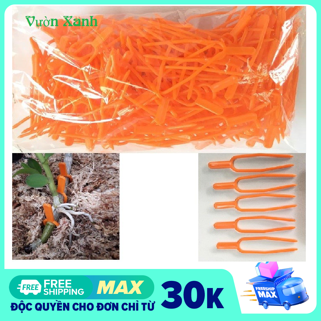 Set 50 cái kẹp dĩa dùng để kẹp cố định keiki, kẹp ki trồng phong lan, ghim ki lan