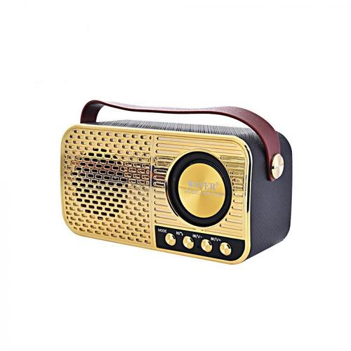 [HCM]Loa bluetooth WSTER WS-3138 3129