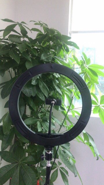 Đèn livestream 26cm kèm chân cao 2m1