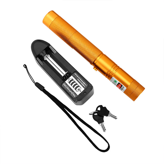 Green Laser Pointer FXZ 303 (Gold)