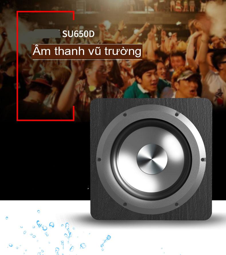 loa siêu trầm subwoofer 100W