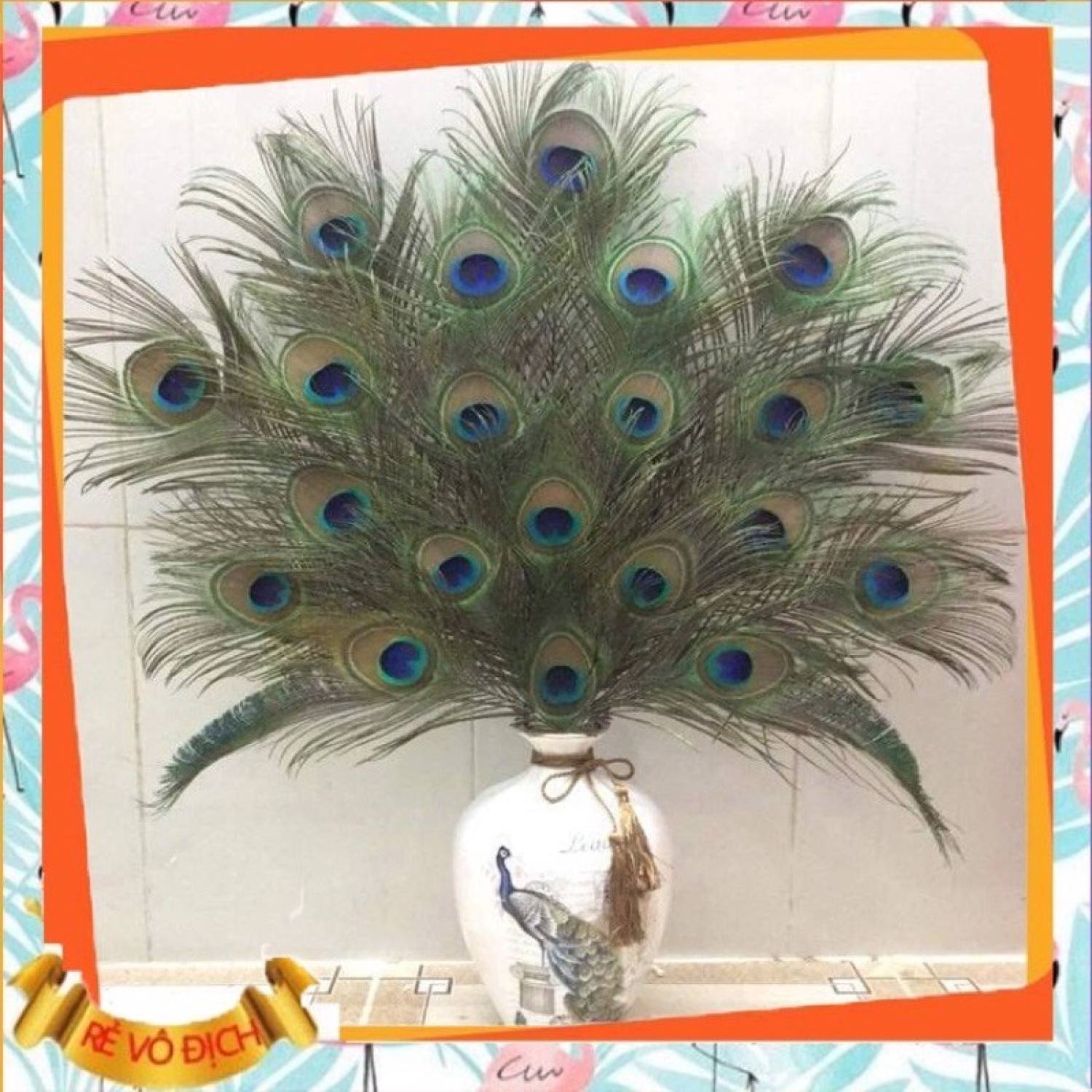 Lông công tự nhiên làm oản tài lộc dài 20-80cm