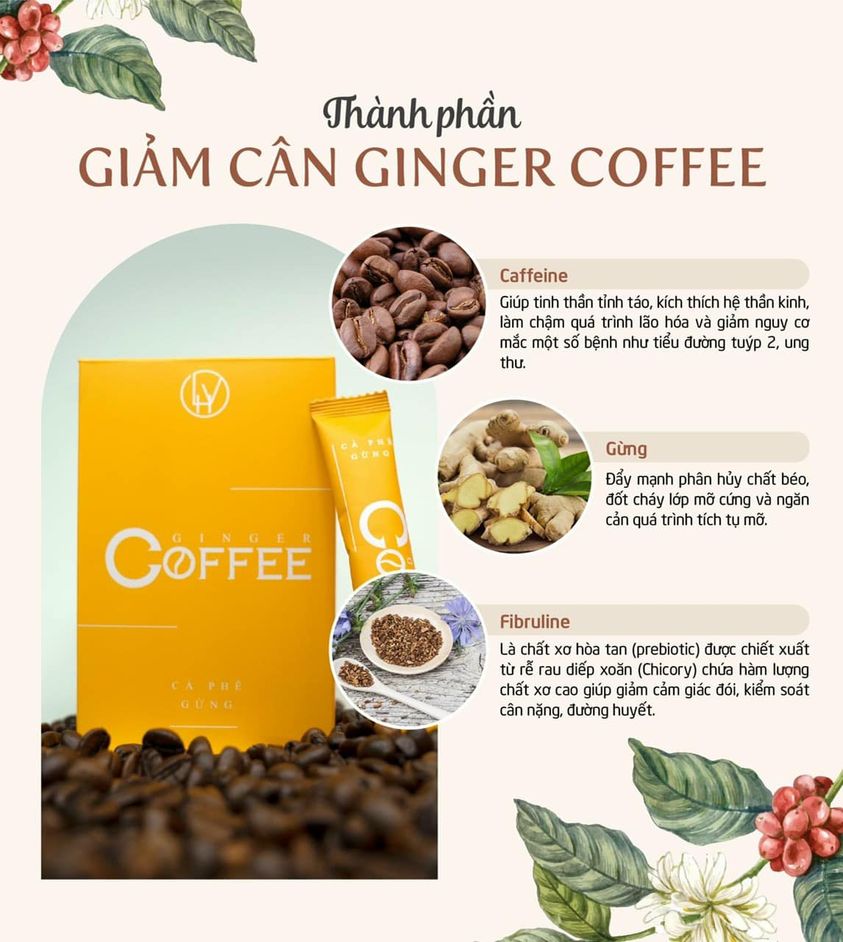 Cà Phê Gừng Giảm Cân Ginger Coffee LHV (Hộp 20 gói)