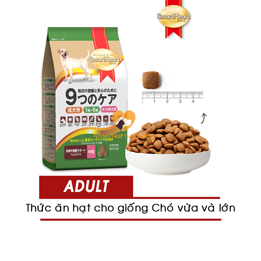 Thức Ăn Cho Chó Trưởng Thành Smartheart Gold Lamb and Rice (Gói 1KG 3KG) - Vị Thịt Cừu và Gạo - [Nông Trại Thú Cưng]