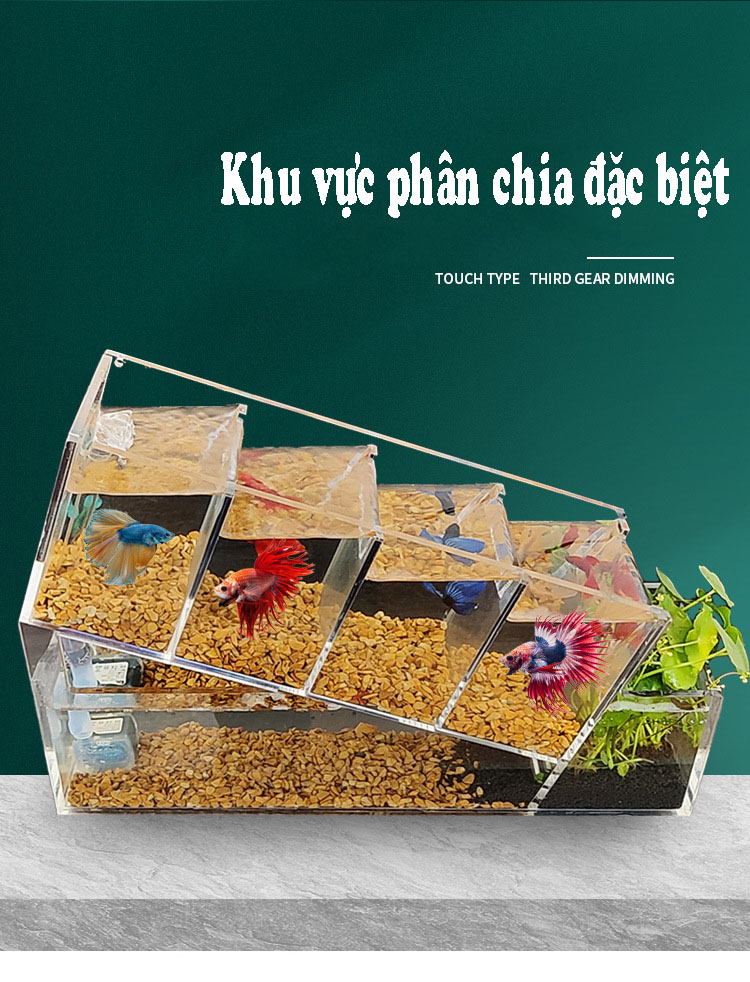 Bể cá betta acrylic đặc biệt kết cấu chéo