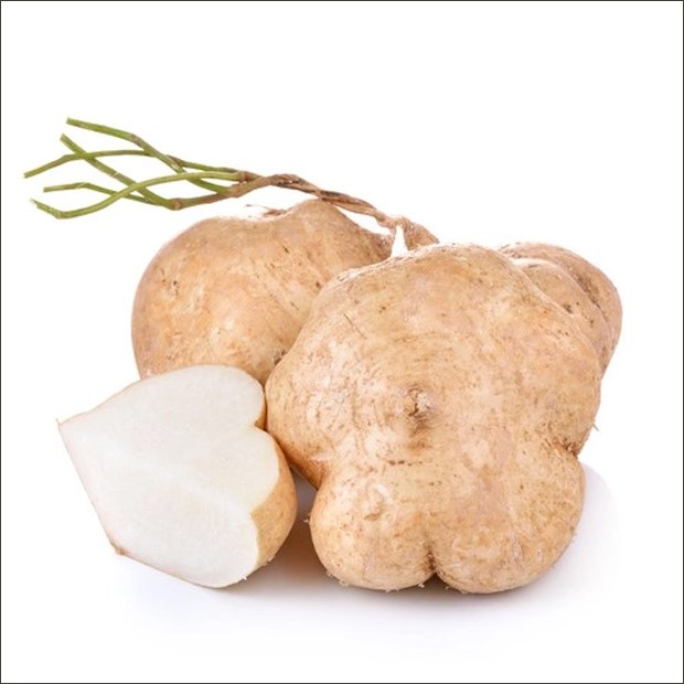 [Seeds] Hạt giống củ đậu (củ sắn) RD405, đóng gói 5gr (khoảng 30 hạt)