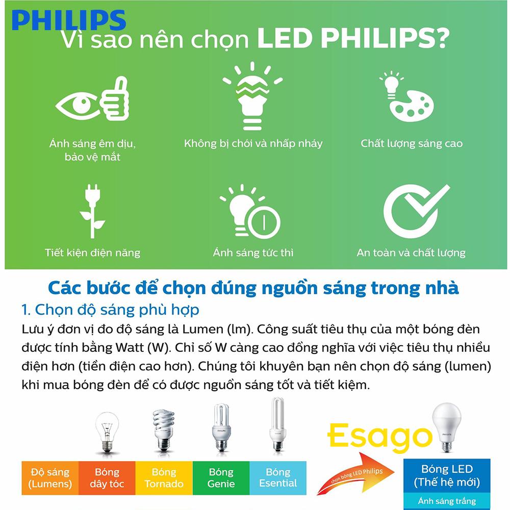 Bóng đèn LED trụ công suất cao Philips 40W 6500K E27 - Ánh sáng trắng