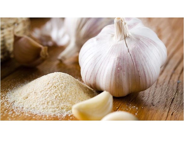 Bột Tỏi Đặc Biệt 500gr/ Garlic Powder - KN