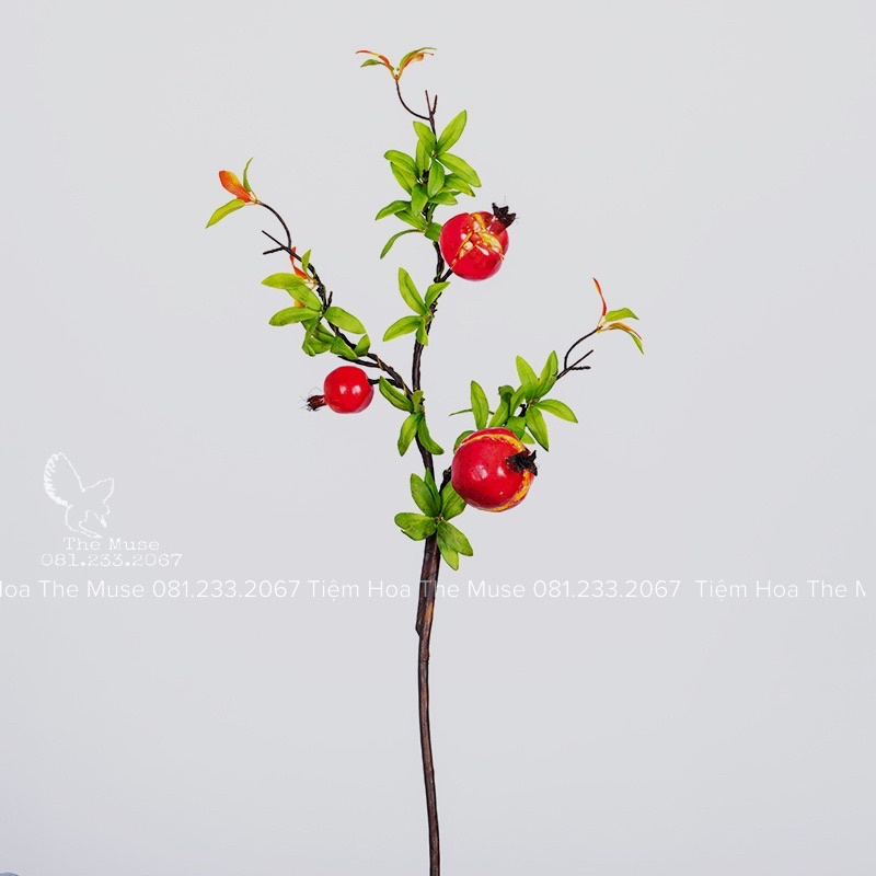 Nhánh Lựu Nứt 3Q - Decor Phong Cách Cổ Điển