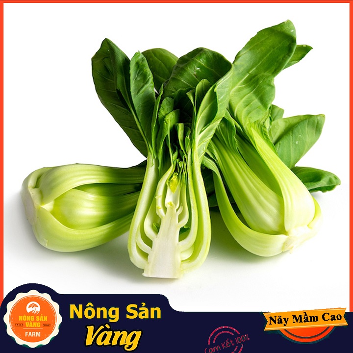 White blenders (scolita) green vegetable with multi-vitamins and minerals, easy to grow, high yield (20 gram pack)-shallow yellow