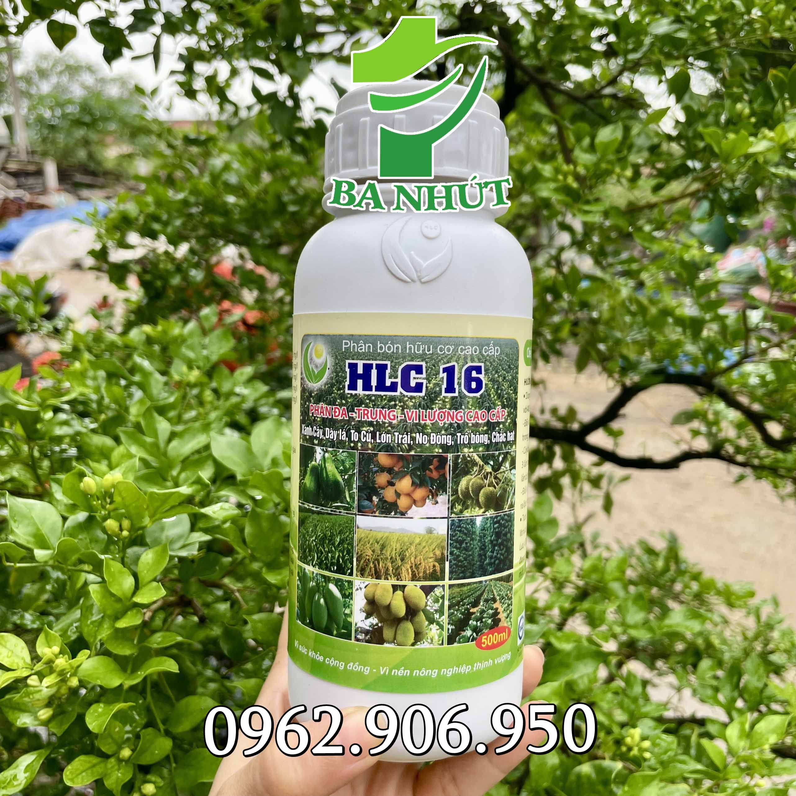 Phân bón hữu cơ cao cấp hlc 16 chai 500ml ra rễ cực mạnh, xanh bền, siêu lớn trái