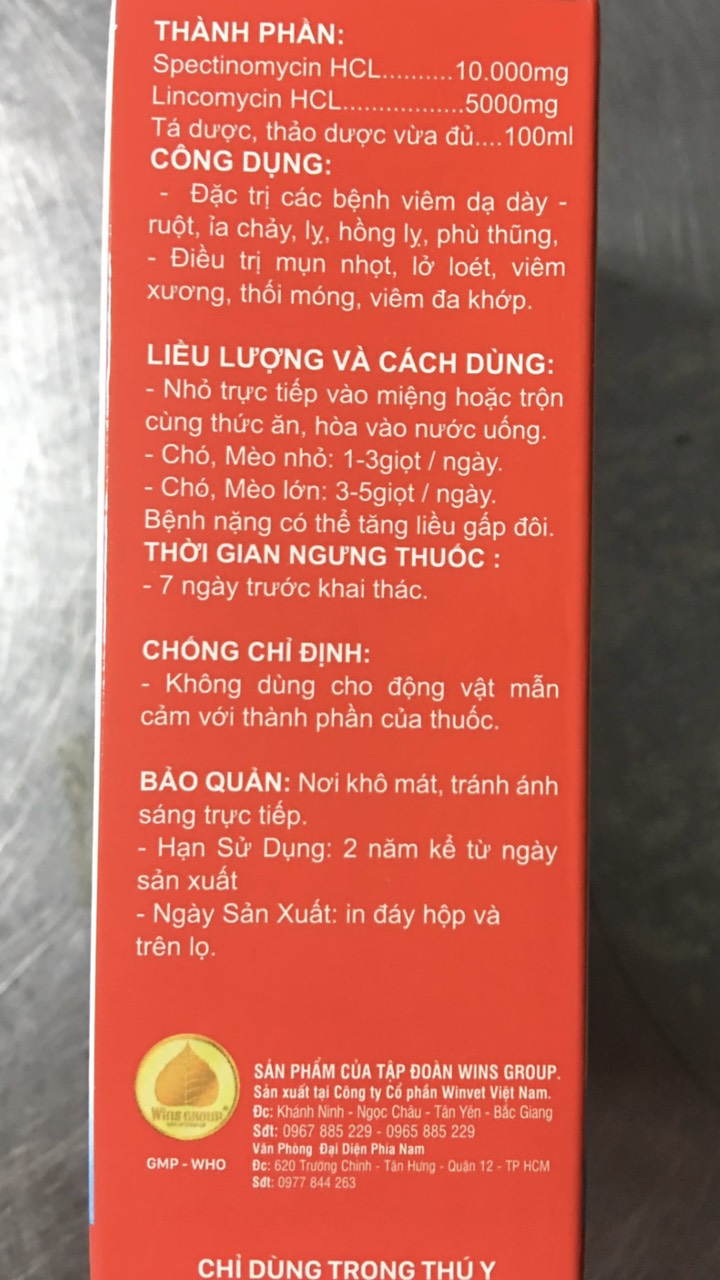 [MỚI] ĐẶC TRỊ TIÊU CHẢY NÔN MỬA CHO CHÓ MÈO