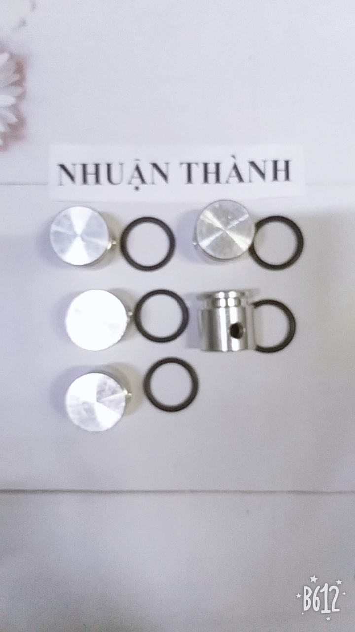 Piston lỏng Máy đục 0810 kèm sin
