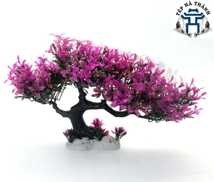 [Hoàn Tiền 10%] Lũa Bonsai Mini Trang Trí Bể Cá - Bể Thủy Sinh (D:20cm C: 15cm)