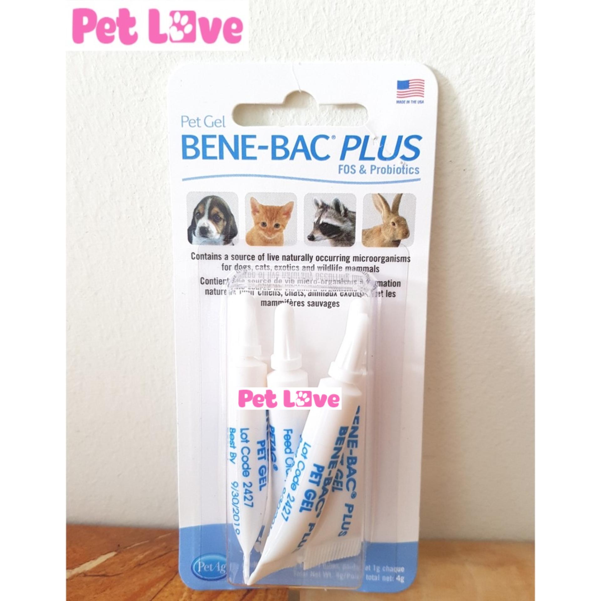 Men tiêu hóa Bene-Bac Plus cho chó mèo