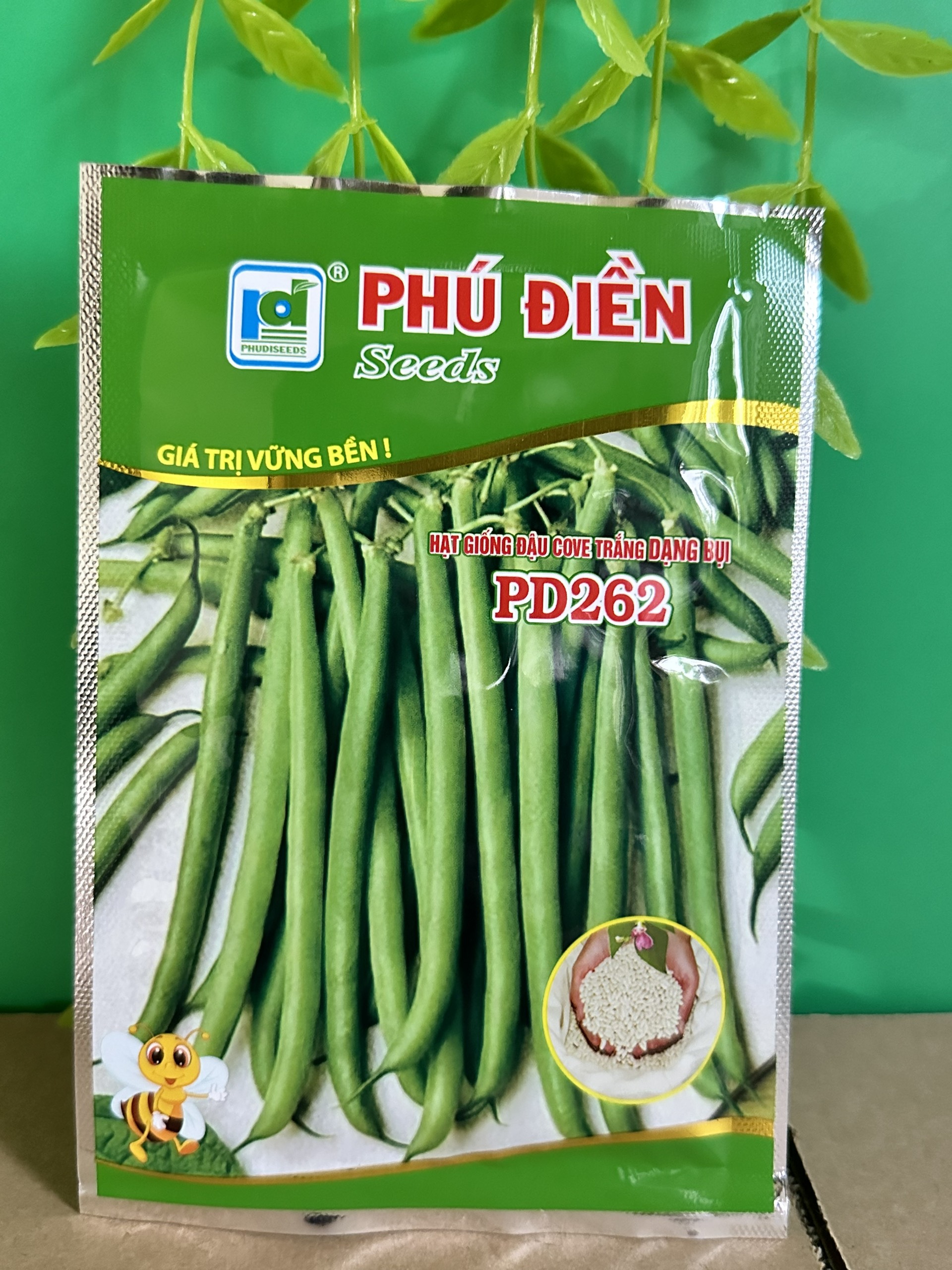 Hạt giống đậu cove bụi hạt trắng PD262