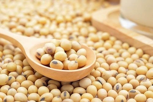 Đậu tương (đỗ tương) - đậu nành