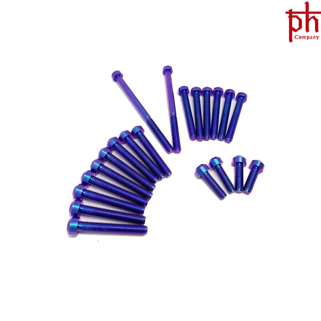 [HCM]Bộ Ốc Lốc Máy Satria Đầu Trụ