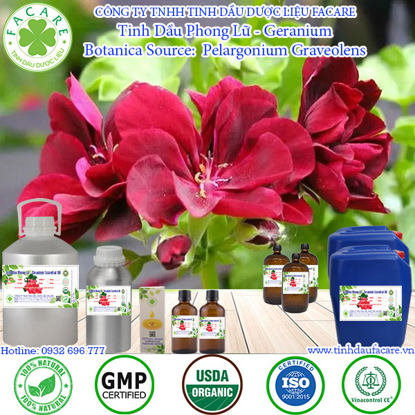 Tinh dầu phong lữ geranium essential oil - 10ml