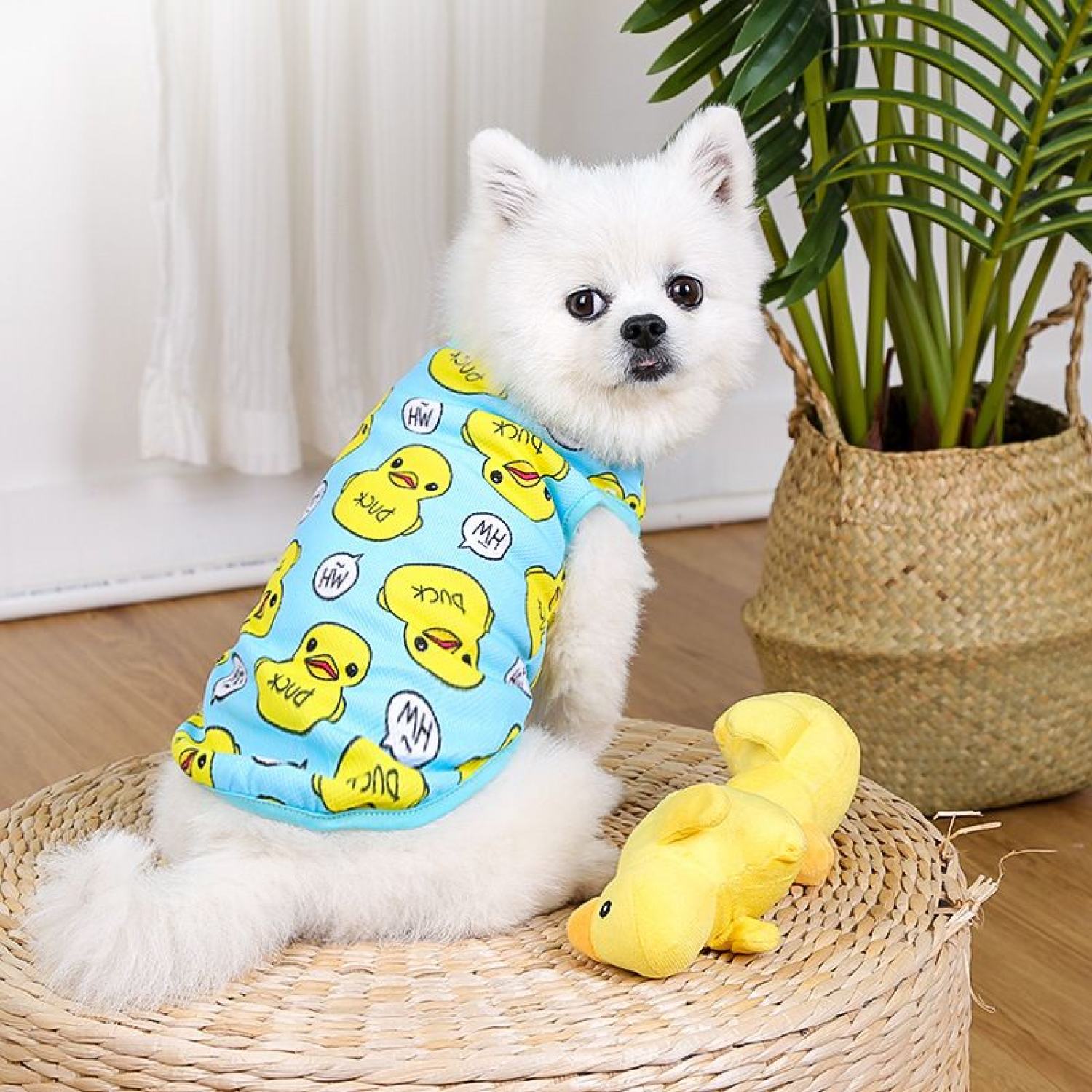 Áo Cho Chó Mèo - Áo Con Vịt Cho Chó Mèo