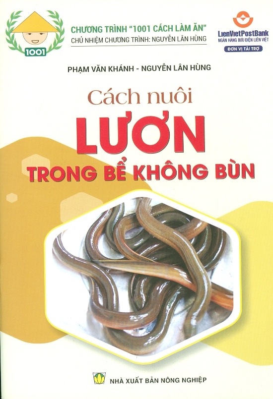 Cách nuôi Lươn trong bể không bùn