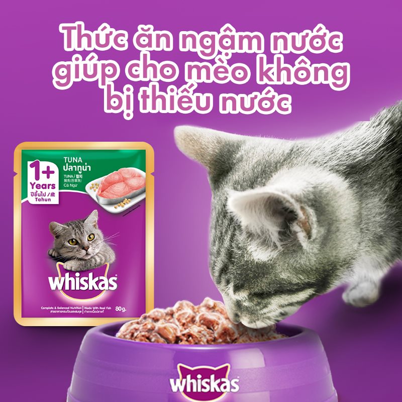 Pate mèo - pate Whiskas đủ vị - 85g/gói