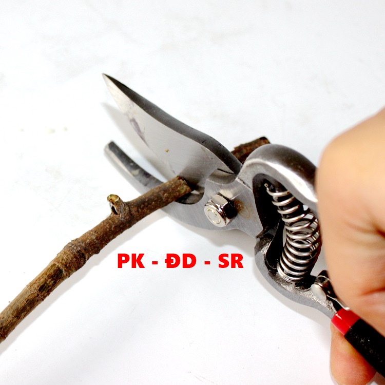 Kéo Cắt Tỉa Cành Cây Lưỡi Cong - Siêu Rẻ