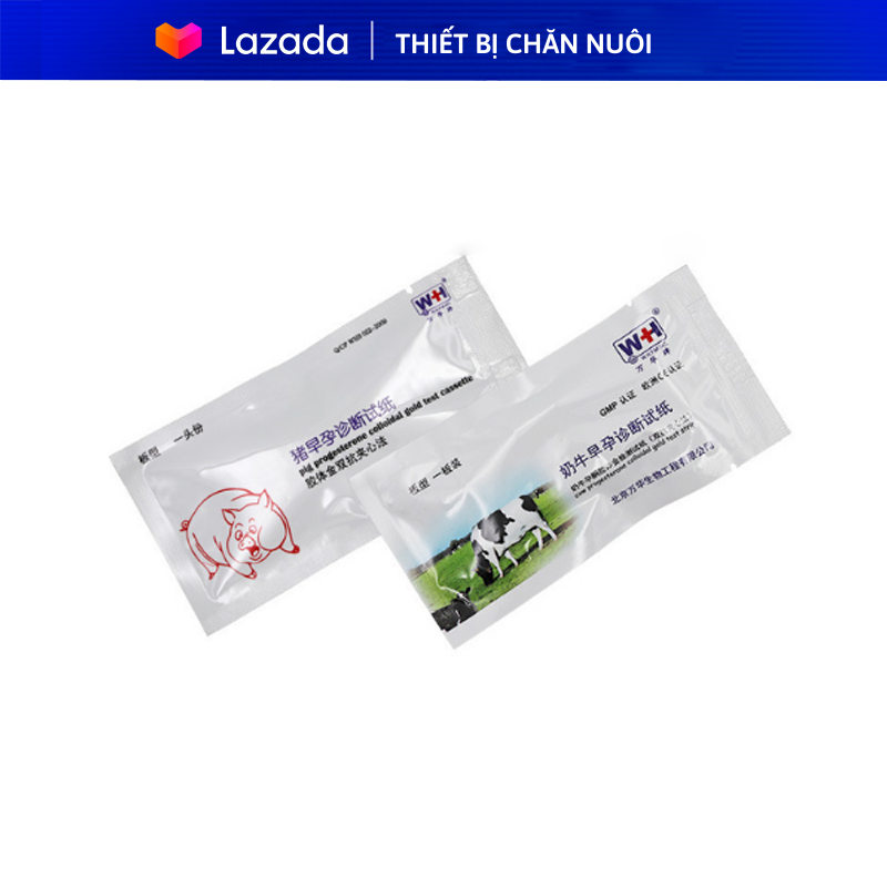Que thử thai cho bò/heo độ chính xác cao