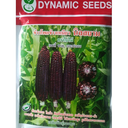 HẠT GIỐNG BẮP TÍM THÁI LAN GÓI 20G