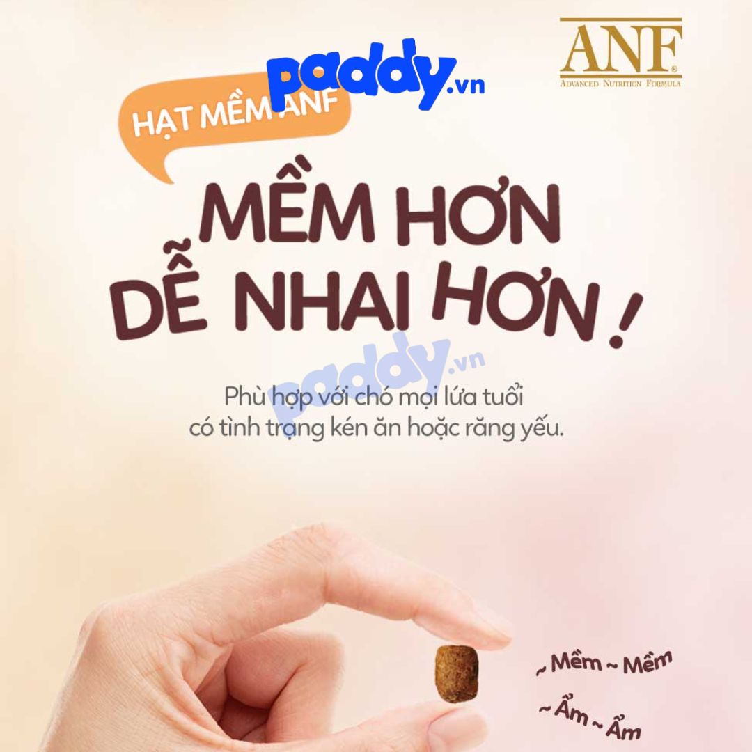 Thức Ăn Hạt Mềm Chó ANF Soft (Hàn Quốc)