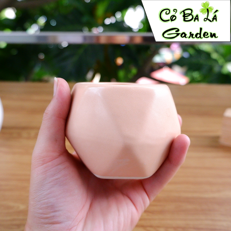 chậu sứ bát tràng hình Quả Trám